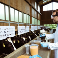 Essential Strategies for Preventing and Treating Nutritional Deficiencies in Livestock
