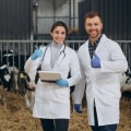 Understanding the Vital Role of Veterinarians in Livestock Health Services
