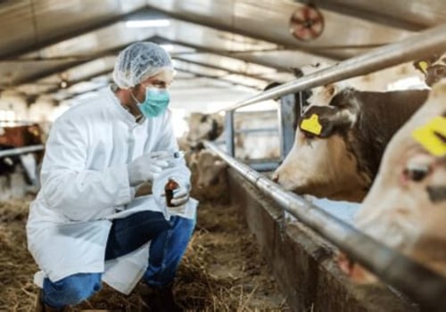 Effective Strategies for Preventing and Controlling Metabolic Disorders in Livestock