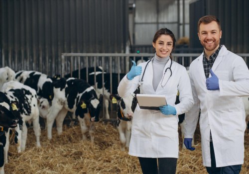 Understanding the Vital Role of Veterinarians in Livestock Health Services
