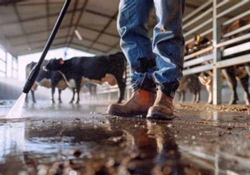 Ensuring Sanitation and Cleanliness in Livestock Facilities for Optimal Health