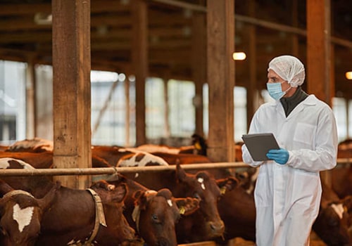 Essential Biosecurity Measures for Livestock Health Services