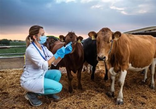 Essential Insights on Livestock Health Check-Ups: Frequency and Importance