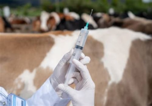 Essential Vaccinations for Livestock: Ensuring Optimal Health and Productivity