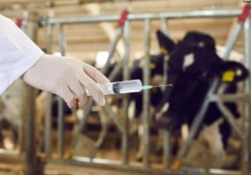 Essential Strategies for Maintaining Reproductive Health in Breeding Livestock