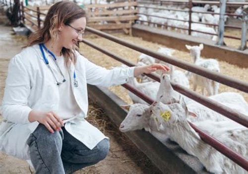 Identifying and Treating Parasites in Livestock: A Guide to Ensuring Livestock Health
