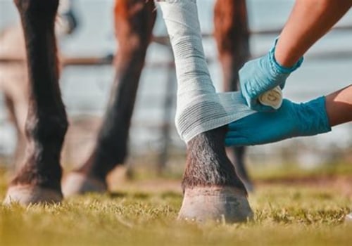 Essential First Aid Techniques for Livestock Injuries